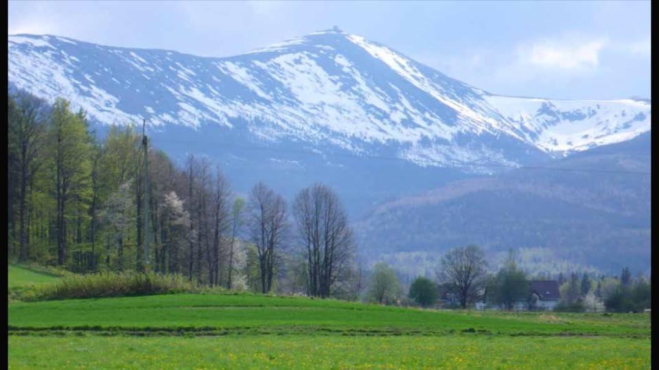 Goralska Osada Karpacz - Domki Lux Exteriör bild